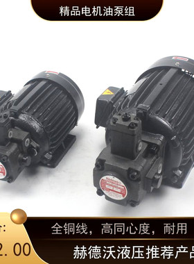 速发液压液压站配件油泵0.7PKW/1.5KW/2./KW配VP202V515/VP0