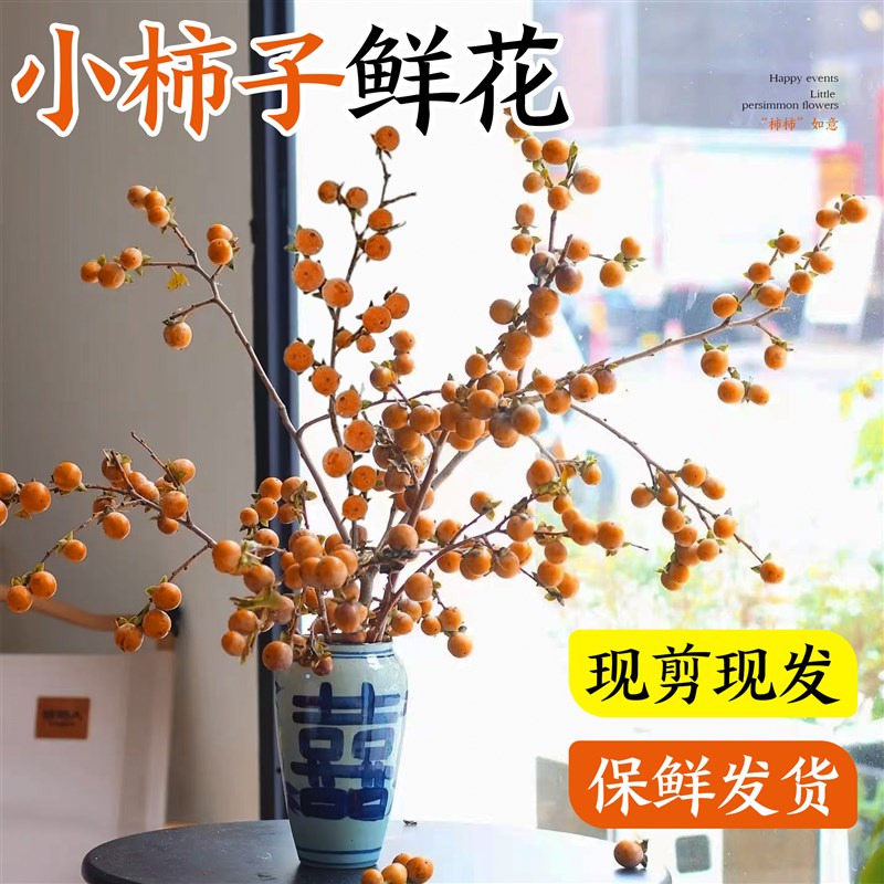 速发云子插花鲜切花水养小柿瓜南南基地直发水培植物秋意家用花材