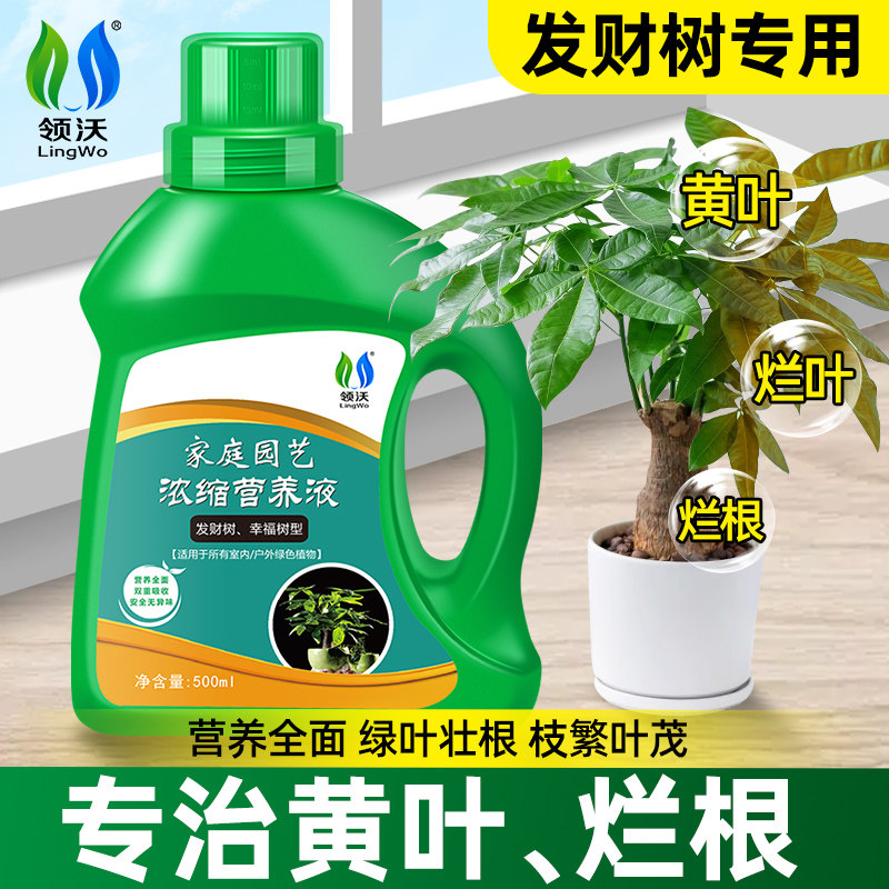 速发发财树营养液肥料专用肥治物植叶子发黄烂根钱金树幸福树通用