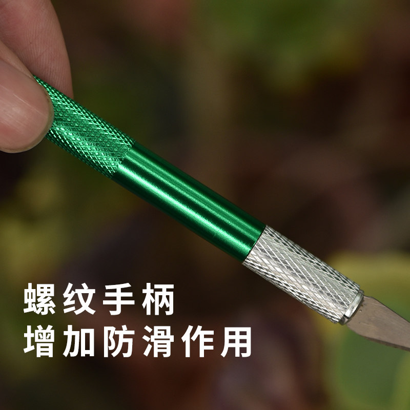 速发多肉植物砍头刀嫁接刀扦插多肉工具十二卷分株专用水仙雕刻刀