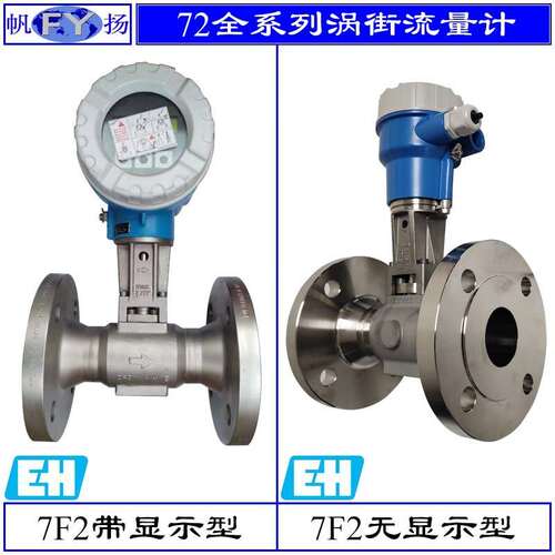原装德国E+H FTL20 FTL31 FTM20系列音叉液位开关 液位计FTL50