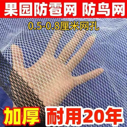 麻雀防护网防冰雹大棚果园专用防鸟网抗老化耐用家用果树养殖尼龙