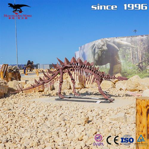 仿真恐龙模型玻璃钢骨架恐龙博物馆科技馆室内美陈研学装饰