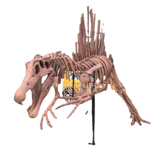 自贡大型仿真化石恐龙厂家恐龙化石骨架模型制作博物馆展览