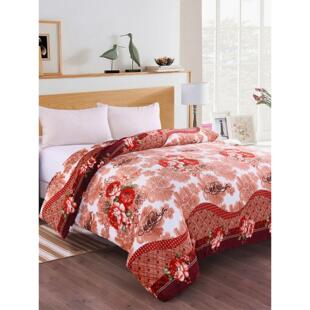 冬天珊瑚绒加绒被套加厚法兰牛奶绒双面毛绒单件毛毯冬季毛毛被罩