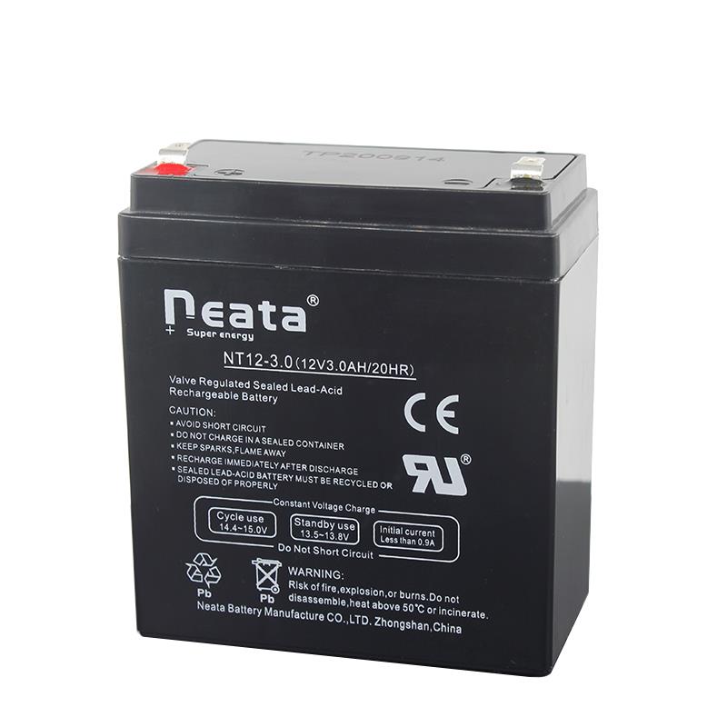 12V3A电瓶贝德户外拉杆音