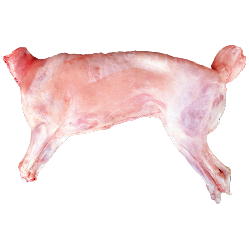 全羊整只甘肃宁夏滩羊肉新鲜现杀烤全羊整只羊羔烧烤生鲜年货礼盒
