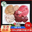 生羊杂新鲜全套生鲜半成品商用5斤羊肚羊肠碎汤羊下水一整套10斤