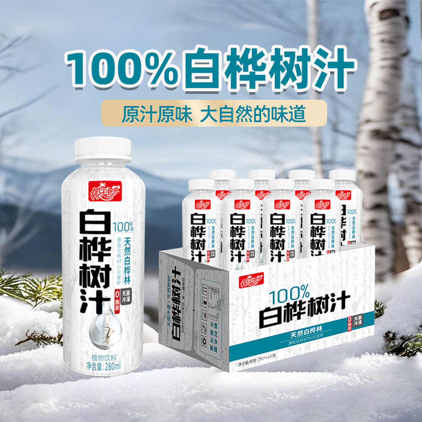 共32瓶/4箱丨椰子泡泡桦树汁原液