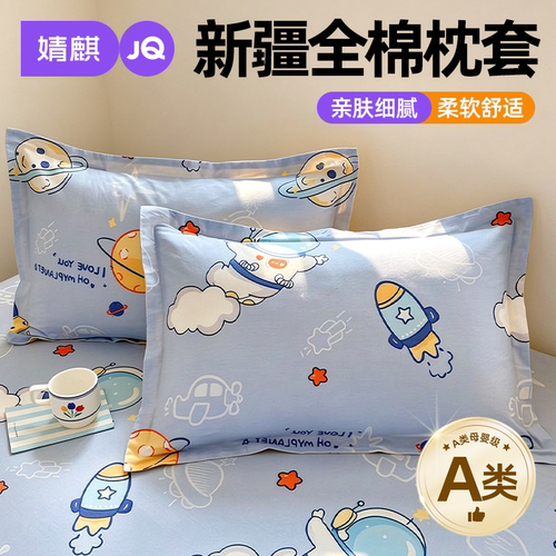 A类新疆全棉枕套四季通用枕头套a