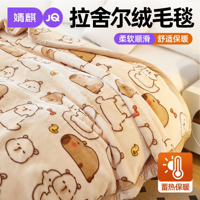 拉舍尔毛毯双层加厚保暖多功能毯