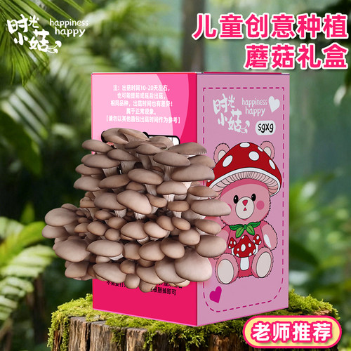 蘑菇种植盒喷水长蘑菇包出菇
