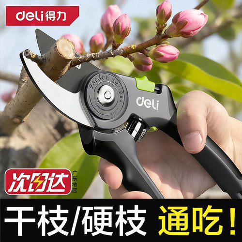 得力修剪树枝剪刀剪树枝专用剪刀