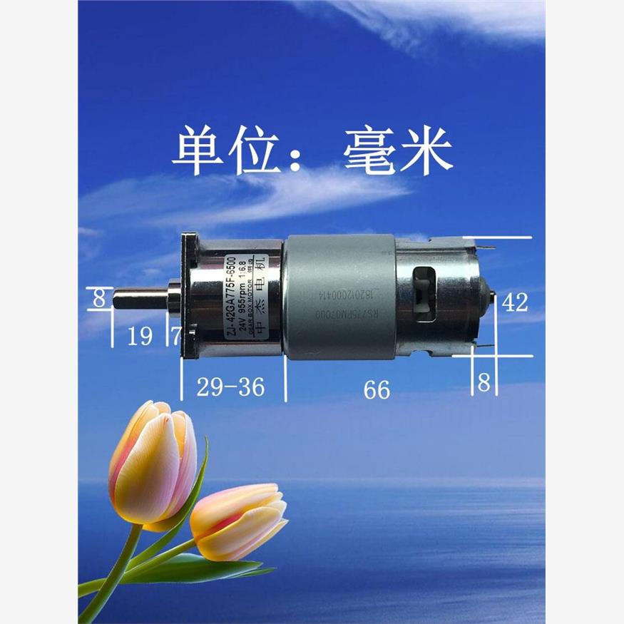 ZJ-42GA775直流慢速减速