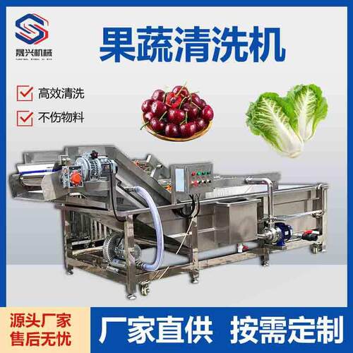 净菜加工果蔬清洗机番茄白菜樱桃清洗机不锈钢大型喷淋气泡清洗机