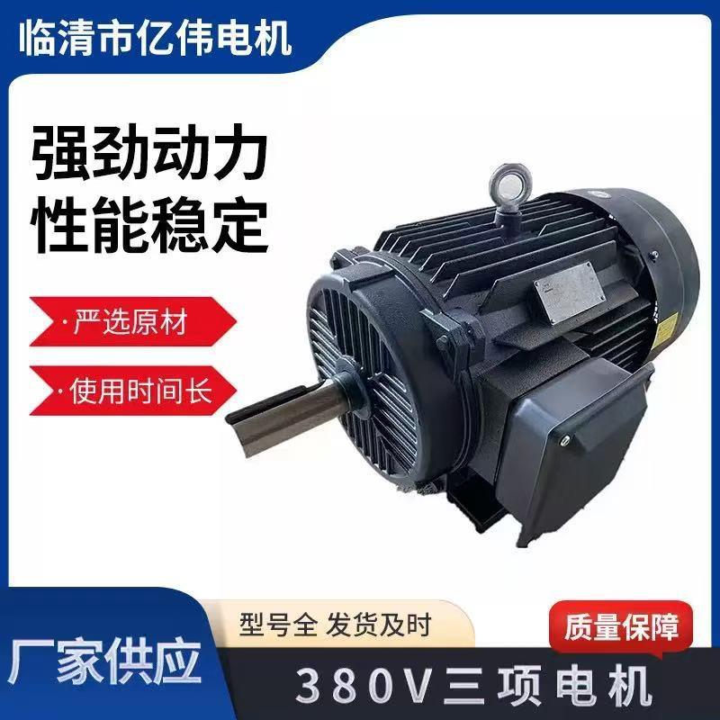 YE2YE3YE4三相异步电动机6极1.5w,2.2w,3.0w厂家直发