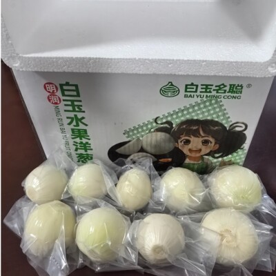 纯甜白玉水果洋葱不辣脆甜多汁