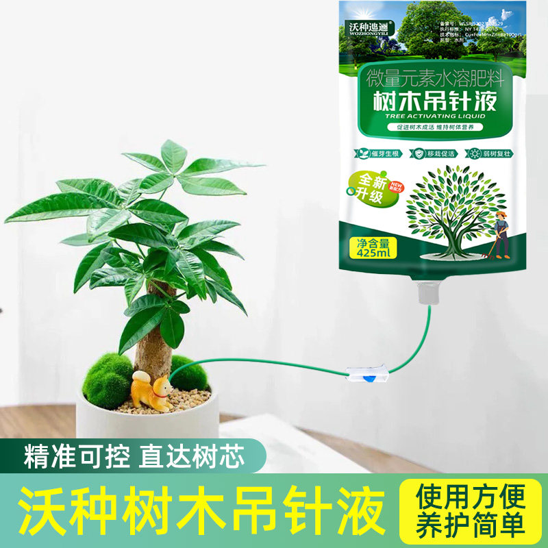 沃种大树营养液重新唤醒植物活力图片