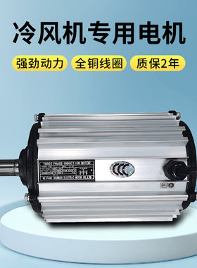 冷风机专用电机全铜线圈