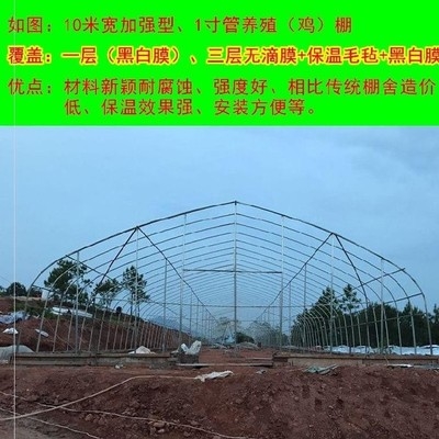 现货速发需养鸡大棚养鸡场室外全套大型农村暖棚家用育苗养猪场种