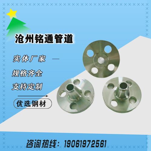 供应国标HG/T20592不锈钢304L带颈对焊法兰WN DN100PN40 RF突面
