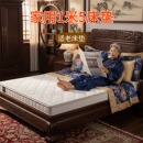菲欧宫家用1米5床垫适老床垫硬垫子家用环保护脊薄床垫护腰冰丝