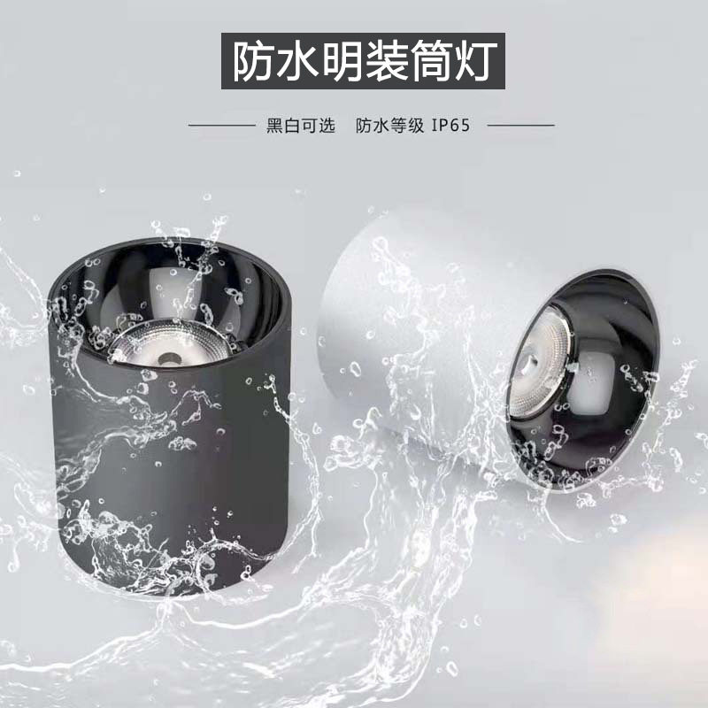 防水明装筒灯走廊门头露台雨棚浴室户外防水吸顶式明装博物馆射灯