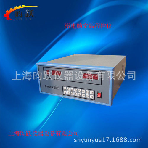 煤质分析仪器 WSWK-V型 微电脑时温程控仪 马弗炉控制仪 电炉制造
