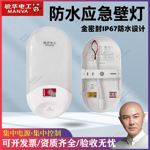 敏华电工拿斯特36V220V椭圆防水应急壁灯壁挂IP67疏散消防应急灯