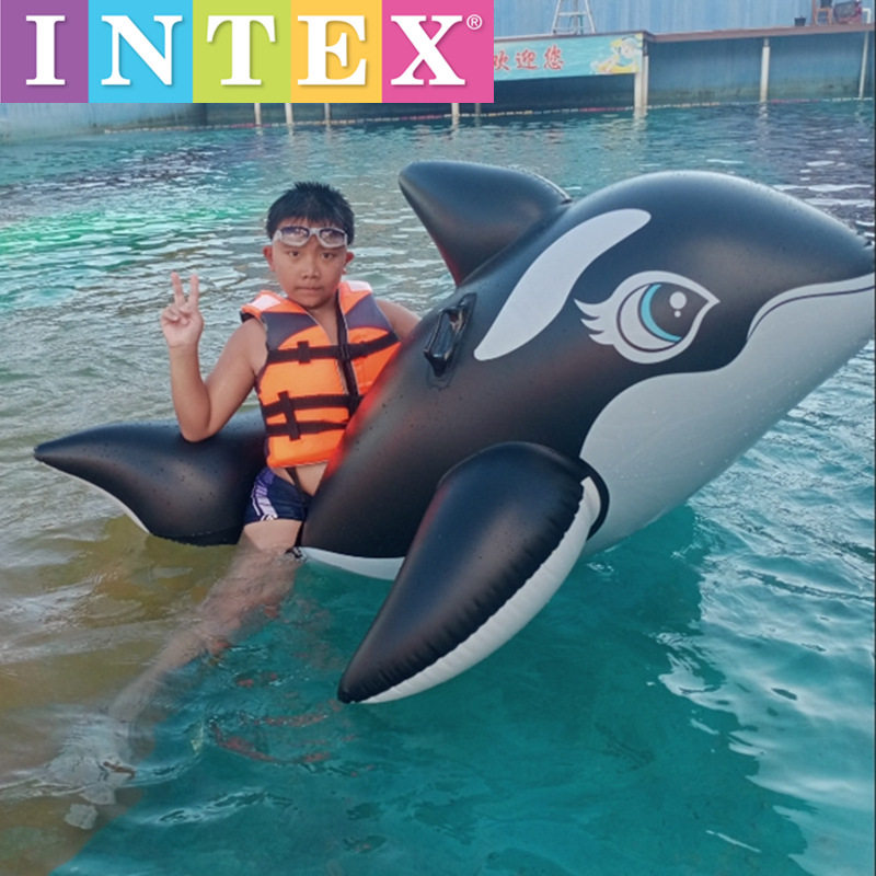 INTEX-58561大号黑鲸坐骑 成人鲨鱼造型游泳圈 儿童充气坐圈浮排