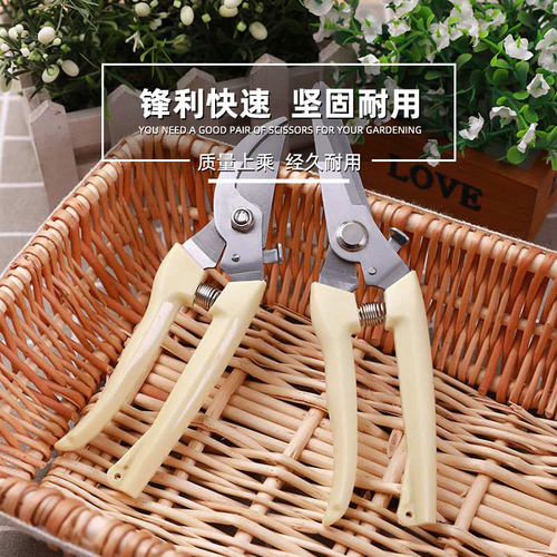园艺剪刀剪枝剪树枝修枝剪花剪园林修剪粗枝剪子省力花艺工具果树