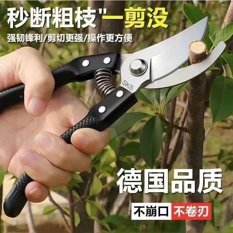 仿德国进口剪树SK5刀钢强力家用花木修枝剪葡萄修剪剪子果树专用*