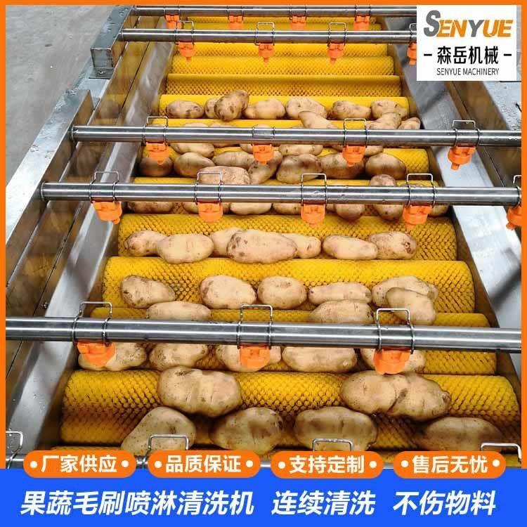 大型全自动土豆清洗机不伤皮红薯清洗去泥沙清洗机平行毛辊清洗机