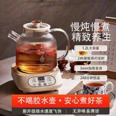 下单立减50元 养生壶花茶壶多功能玻璃小型炖煮烧水壶