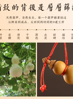 新品养剑葫芦手链手把件文玩小葫芦盘玩把玩手捻挂件抖.音同款养
