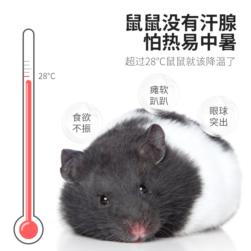 极速仓鼠陶瓷窝夏天降温消署用品刺猬金丝K熊花枝鼠大号防咬小屋