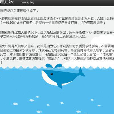 极速精选大只黑壳虾鱼缸水族工具虾除藻G虾乌龟饲料清洁虾观赏虾2