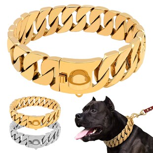 Pet Leash Cuban Dog 速发Gold Large Collar Chain Bully