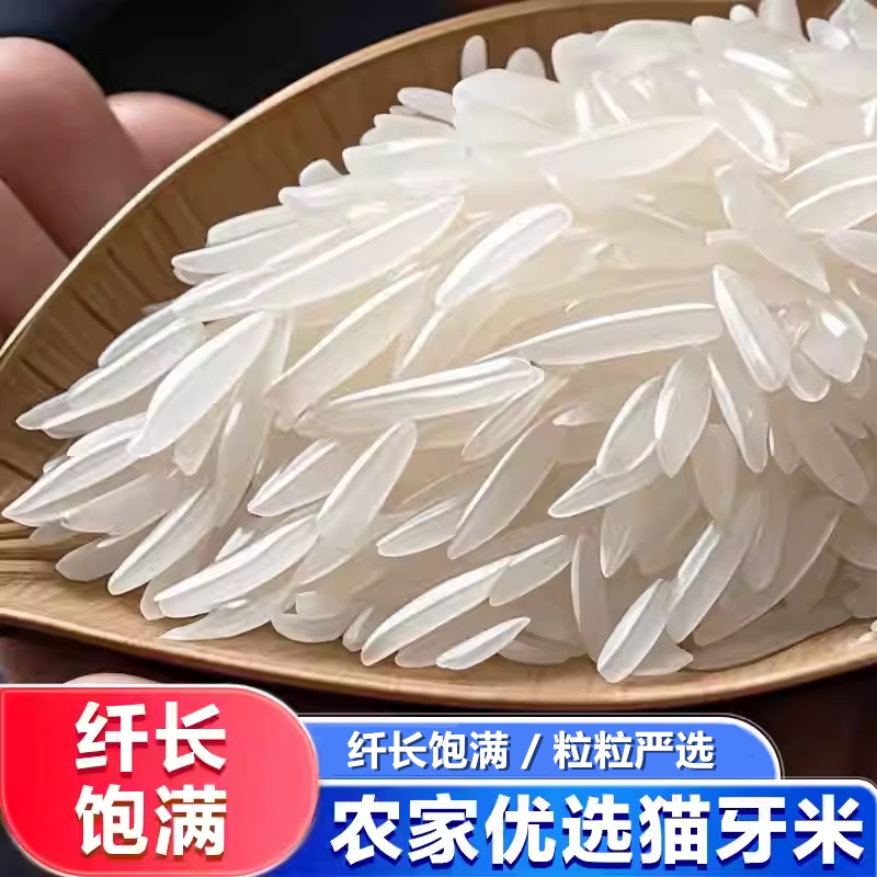 【特价】新米猫牙米长粒香米正宗长款细长米猫牙优质煲仔饭批发