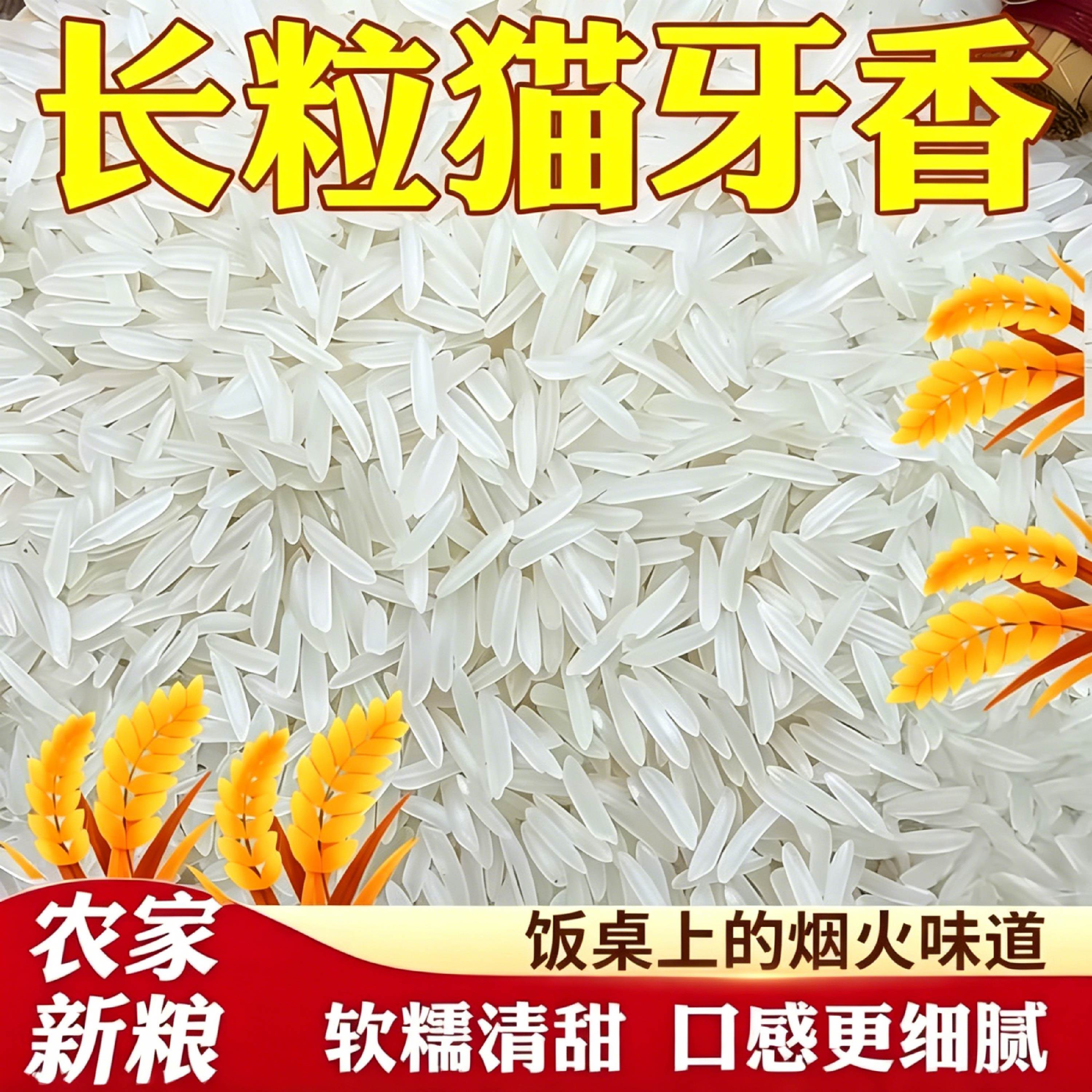 猫牙米香米5斤新米猫牙丝苗米清香米煲仔饭包装整箱新大米煲仔饭