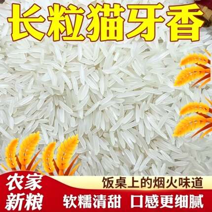 猫牙米香米5斤新米猫牙丝苗米清香米煲仔饭包装整箱新大米煲仔饭
