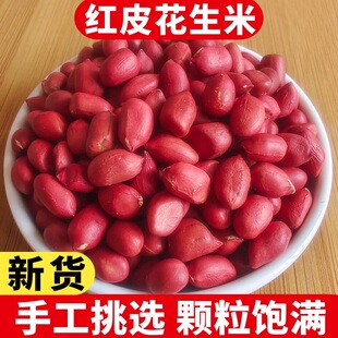 精选东北红皮花生25年农家新货带壳四粒新鲜红花生米五谷杂粮