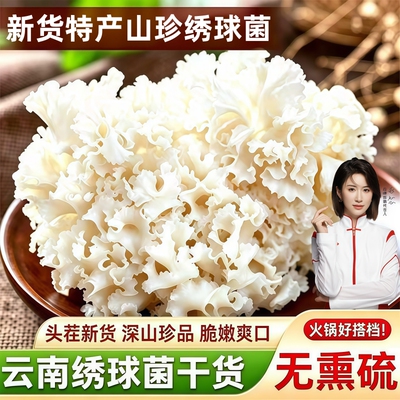 云南绣球菌火锅煲汤红枣干巴菌