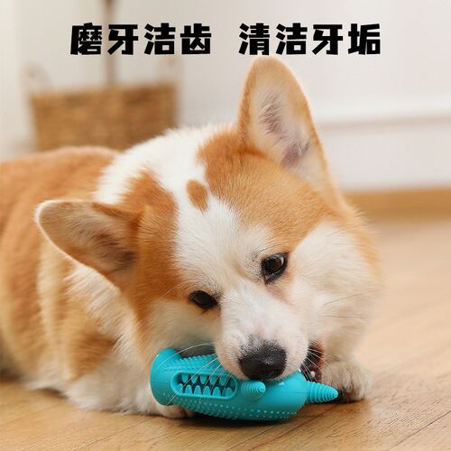 速发玩具磨咬耐牙小怪发智漏食玩具兽声益级硅胶用品