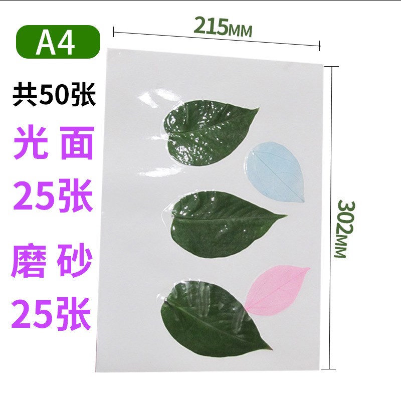 速发树表标工塑封膜冷裱膜6寸A4A6手本自粘相片纸照片植物书签冷