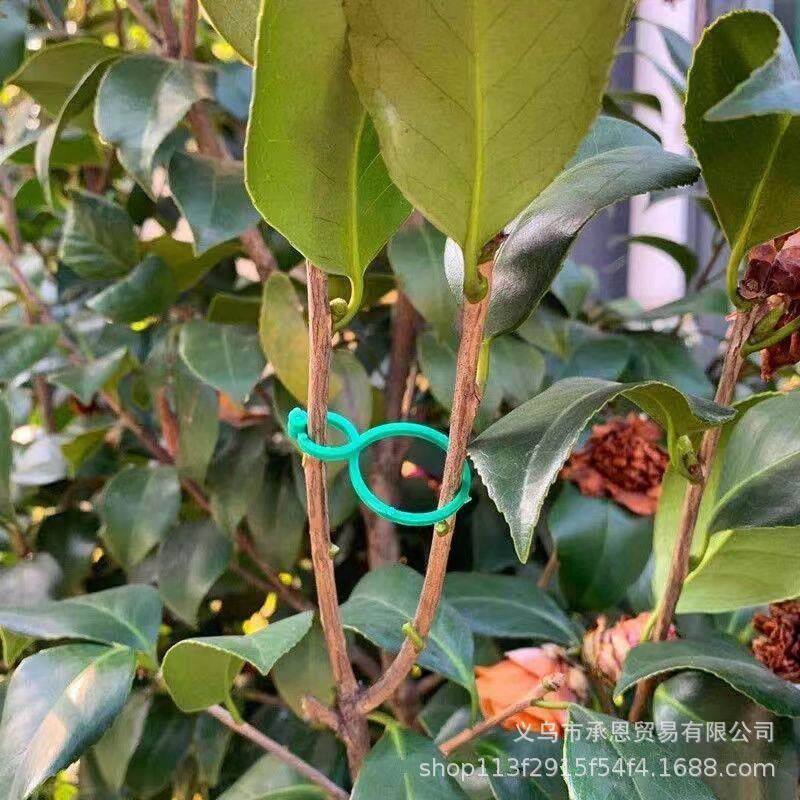 速发多功能园艺八字扣种植藤蔓固定夹爬藤植物茎秆支撑园林工具8