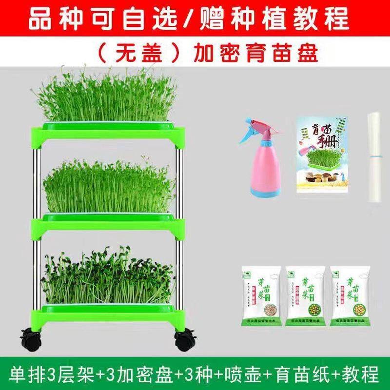 速发设备育苗托盘豆芽发芽盆豆苗种植无土栽培芽苗菜水培蔬菜芽菜