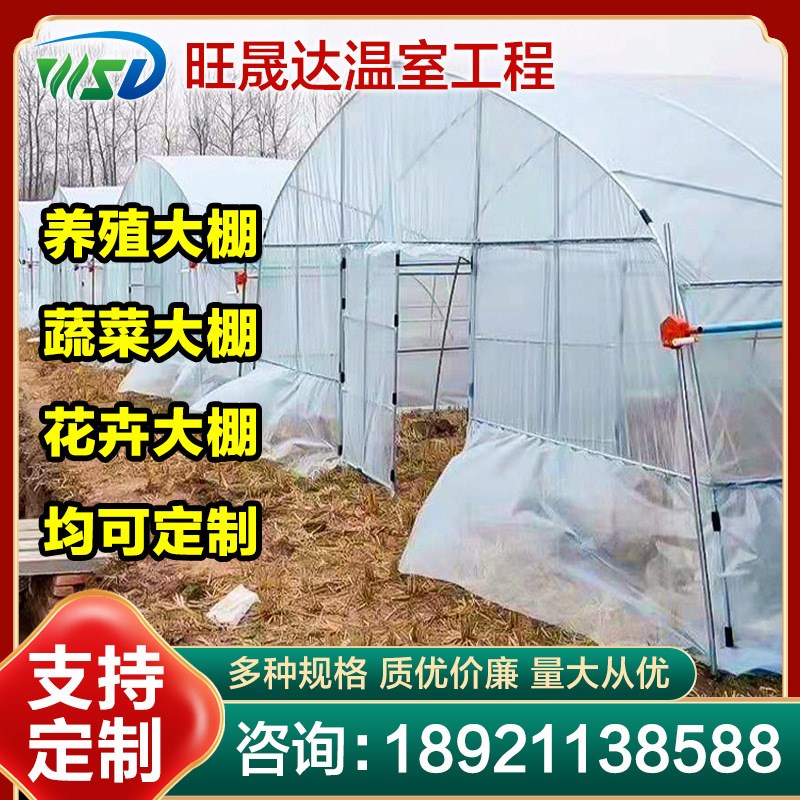 速发农用番茄种植大棚种植大棚薄大温室栋棚连体连膜温室遮棚