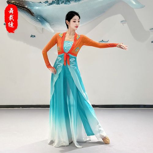 速发古典舞服装舞蹈演出服天涯共此时剧目舞中艺考表演古台国风