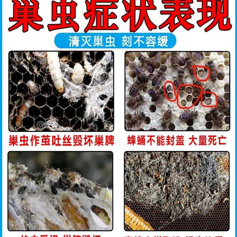 极速巢虫清喷剂一喷净巢虫清木片中蜂专用蜜蜂棉虫白头蛹蜡螟杀虫